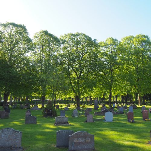 Kyrkogård, Östra kyrkogården, Jönkoping, ek, jätteträd