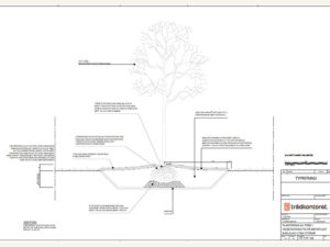 TK TYP 104 - Vegetationsyta befintligt bjälklag utan störar