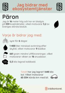 Exempel på trädskylt som Trädkontoret tagit fram genom att använda i-Tree.