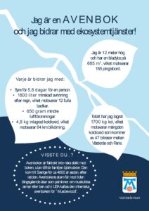Exempel på trädskylt som Trädkontoret tagit fram åt Västerås Stad genom att använda i-Tree.
