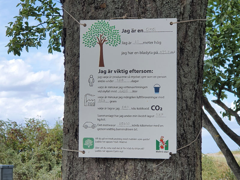 Tjänster på Trädkontoret. Vi erbjuder skapa skräddarsydda Trädskyltar genom att använda i-Tree.