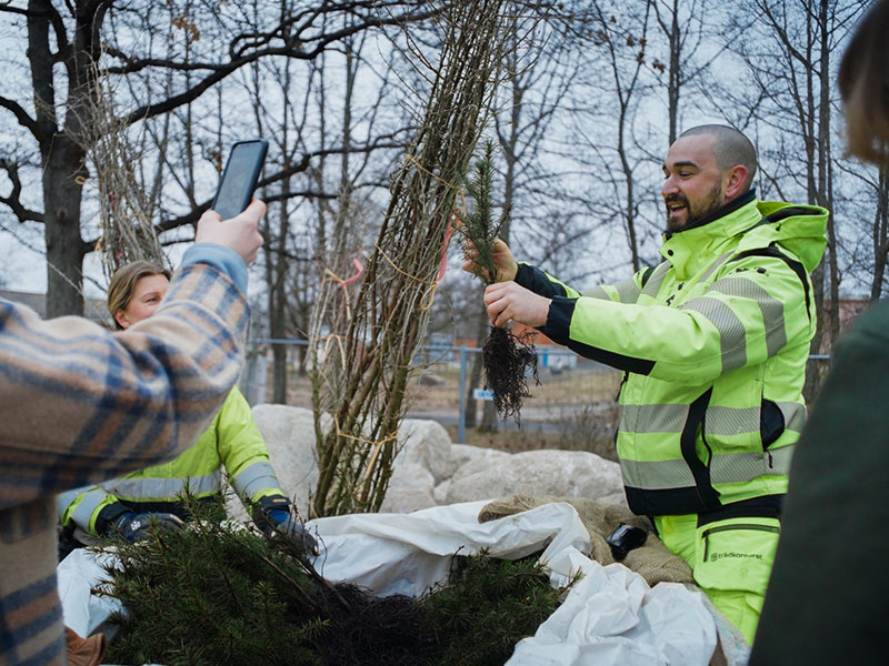 Etablering av träd - Tjänster - Trädkontoret