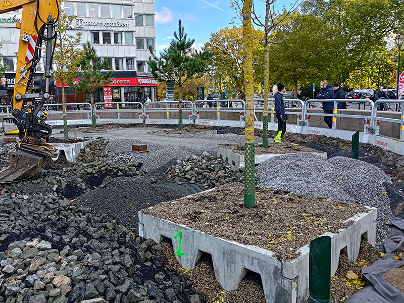 Grön byggledning - Tjänster - Trädkontoret