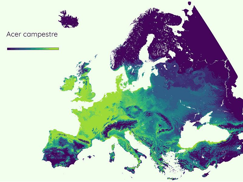 Klimatanalyser - Tjänster - Trädkontoret