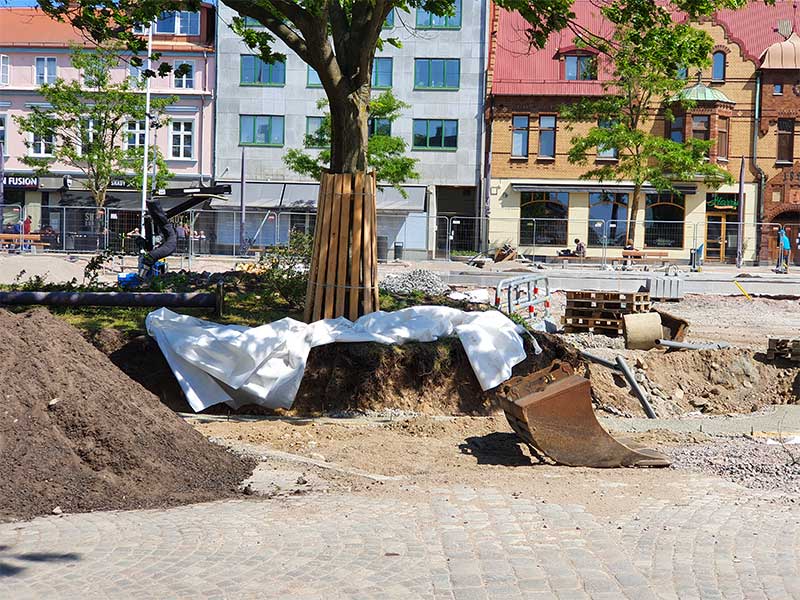 Teknisk rådgivning – Tjänster – Trädkontoret Teknisk rådgivning - Tjänster - Trädkontoret