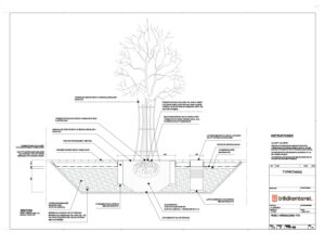 TK TYP 103 - Träd i hårdgjord yta