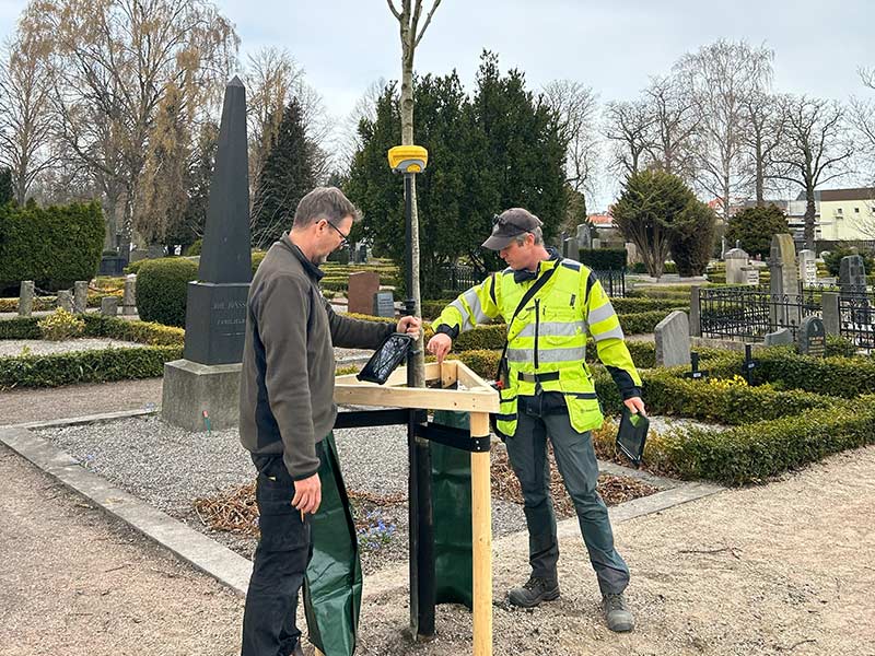 Kurs i Grön byggledning med Trädkontoret