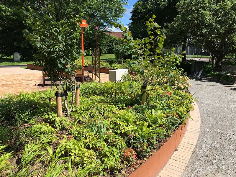 Kurs i Grön byggledning med Trädkontoret