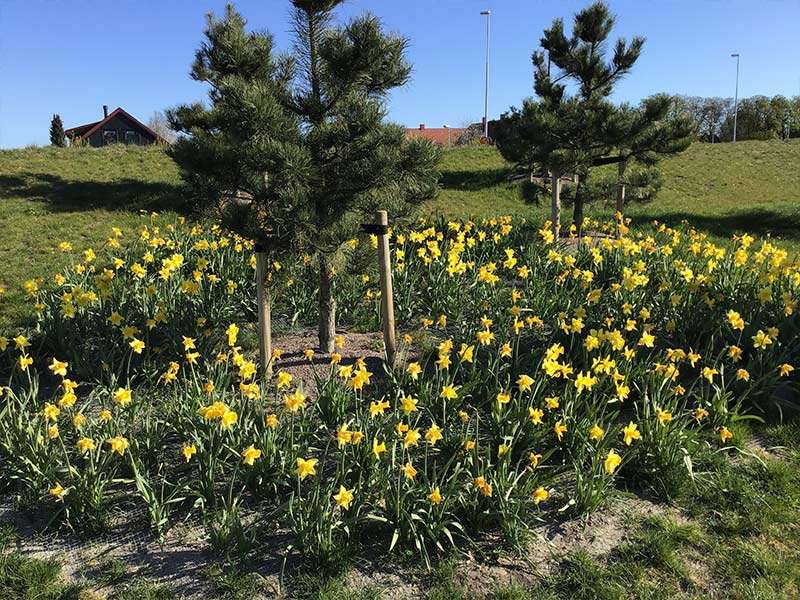 Kurs i Grön byggledning med Trädkontoret