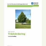 Trädvärdering exempelsamling