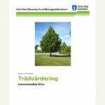 Trädvärdering fältex