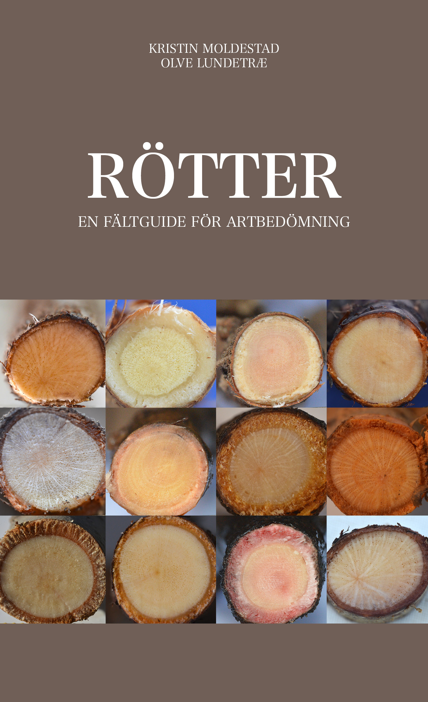 class="img-responsive