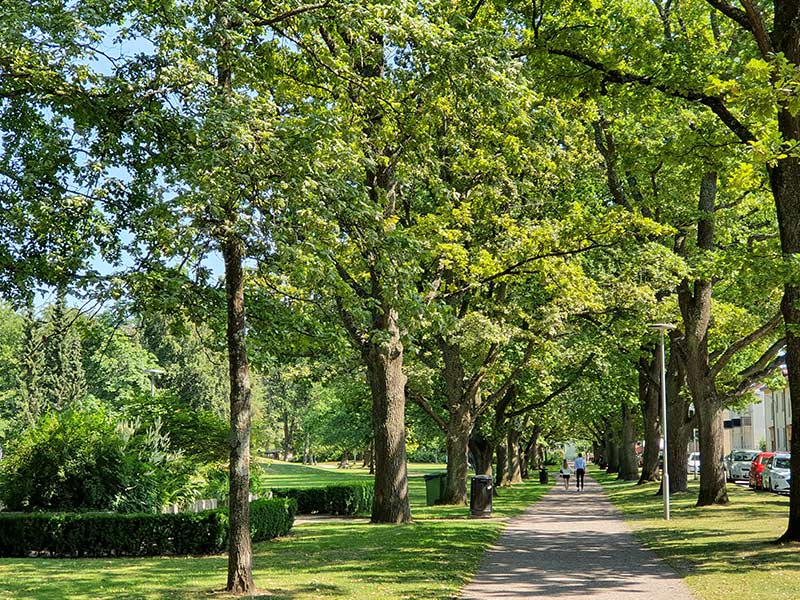 class="img-responsive