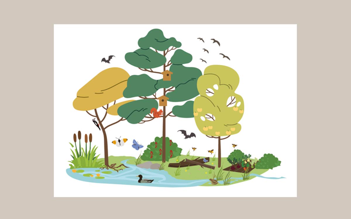 Nordlocal – scaling nature-based solutions through local Nordic action