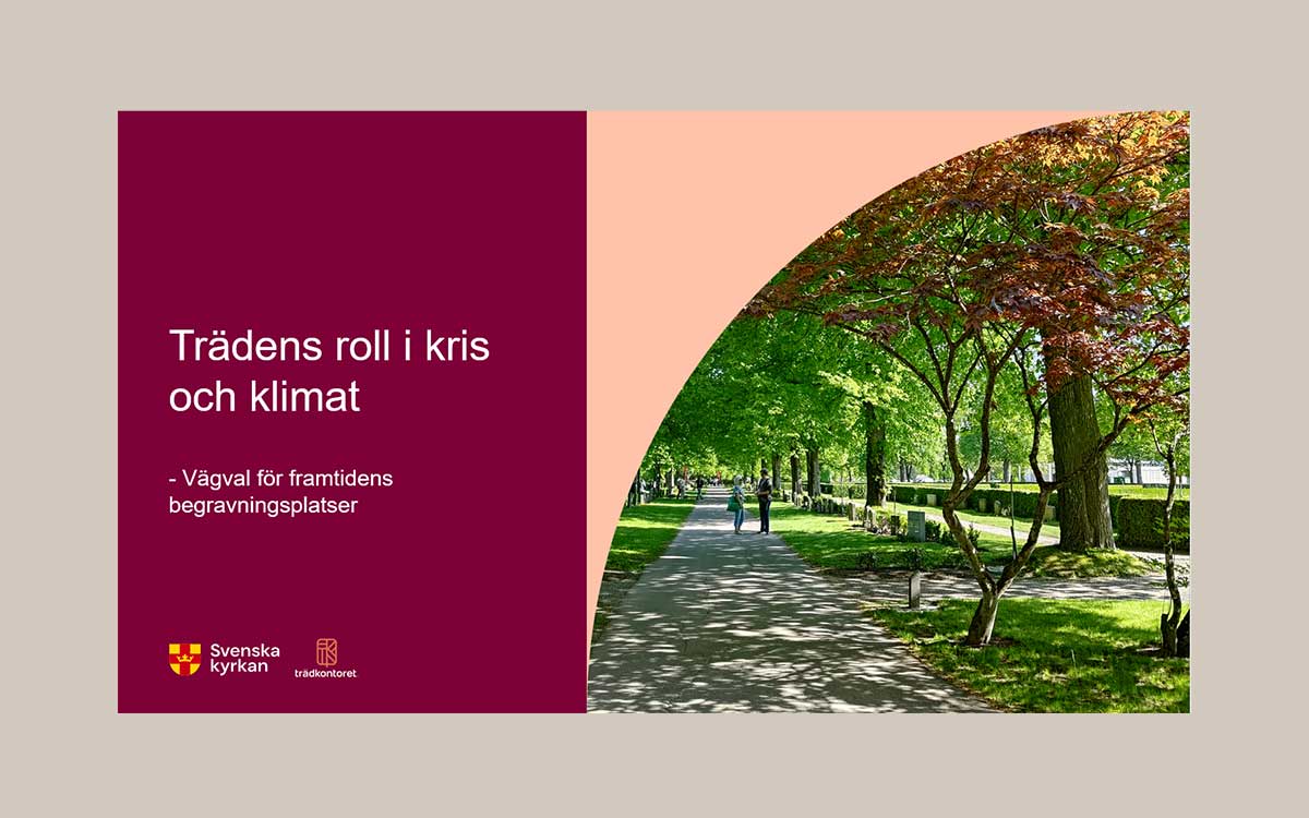 srcset="https://tradkontoret.se/wp-content/uploads/2026/09/Digital-konferens-Tradens-roll-200x125.jpg